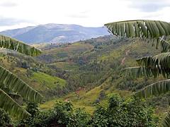 Banga, Burundi 3 Banga, Burundi 3
