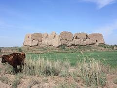 Nukus - Khiva, Qyzyl Qala