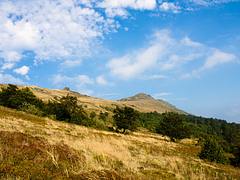 Гора Пикуй / Pikuy mnt. Ukraine