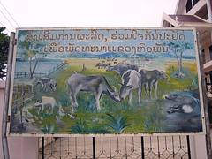 Propaganda Billboard in Xam Neua