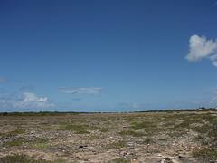 Anegada Outback
