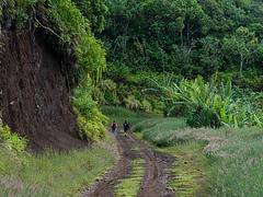 tahiti_240513_758.jpg