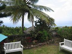 Nevis - Caribbean