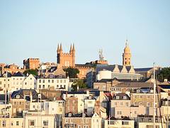 Guernsey_11662 Guernsey_11662
