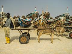 Nouakchott Donkey Cart
