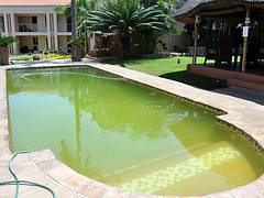 Cycad Lodge Nelspruit
