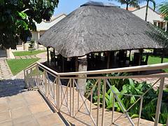 Cycad Lodge Nelspruit