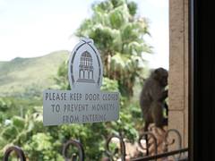 Signifying the Monkey