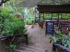 IMG_0543