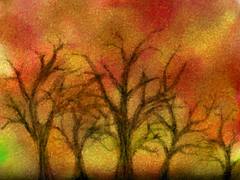 Orange_Trees_01