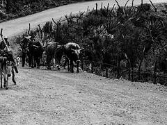 Mexico country roads