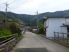 Nishinoshima Island, Oki Islands