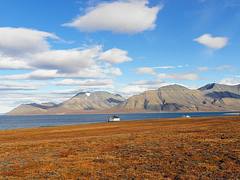 Svalbard, landscape