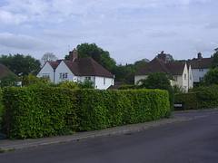Litchfield Way3 Litchfield Way3