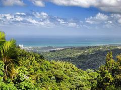 Puerto Rico Vista