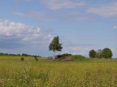pskov
