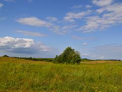 псков *pskov