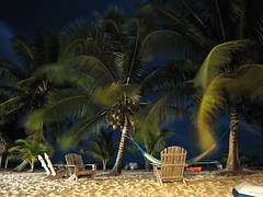 IMG_1886