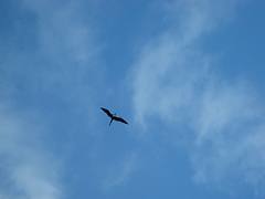 IMG_1854