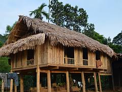 Maison sur pilotis. Vietnam