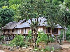 Maison sur pilotis. Vietnam