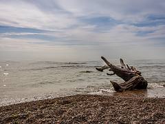 Alone on the baltic sea coast in Lithuania Alone on the baltic sea coast in Lithuania