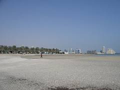 Palm Island