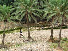 Walking in the wadi