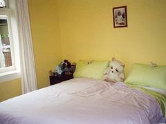 Mijn Kamer Mijn Kamer
