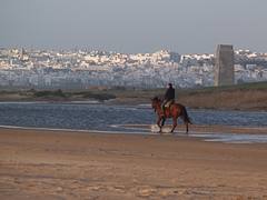 Conil desde El Palmar de Vejer