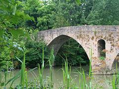 Puente de la Magdalena.Pamplona - Iruña.