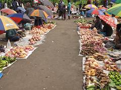 20100305_Popondetta_markets_013