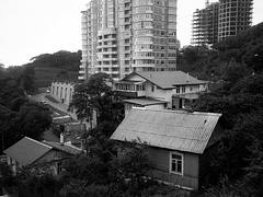 Paysage, Vladivostok, juillet 2010