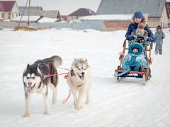_MG_7809 _MG_7809