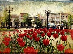 It's my city.