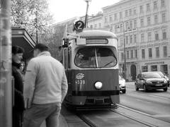 vienna vienna