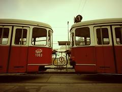 vienna vienna