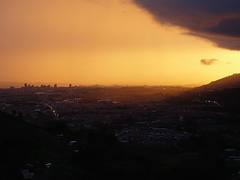 La noche cae sobre Pereira La noche cae sobre Pereira