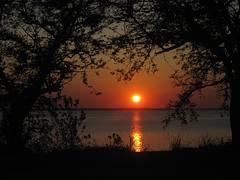 Sunset on River Road