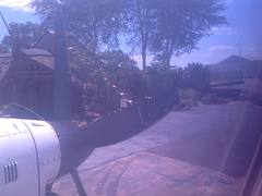Phalaborwa the Kruger park airport #southafrica