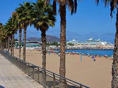 La Playa de Las Alcaravaneras Las Palmas de Gran Canaria