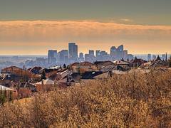 Calgary Downtown Skyline