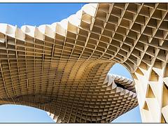 Setas de Sevilla