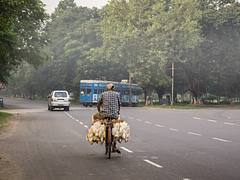 a misty morning in Kolkata!