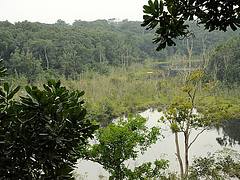 Expédition Sangha2010 : lac 1
