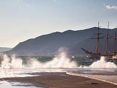 Waves in Tivat