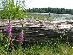 Plaisance,Québec
