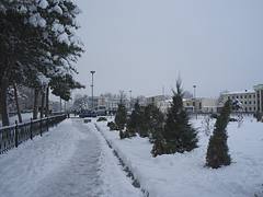 Samarkand