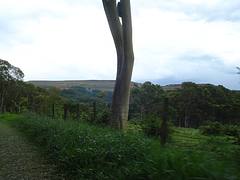 Araxá
