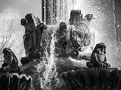 Fuente de las ranas 2 - Albacete
